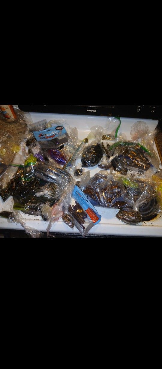 Box Of Fishing Worms 