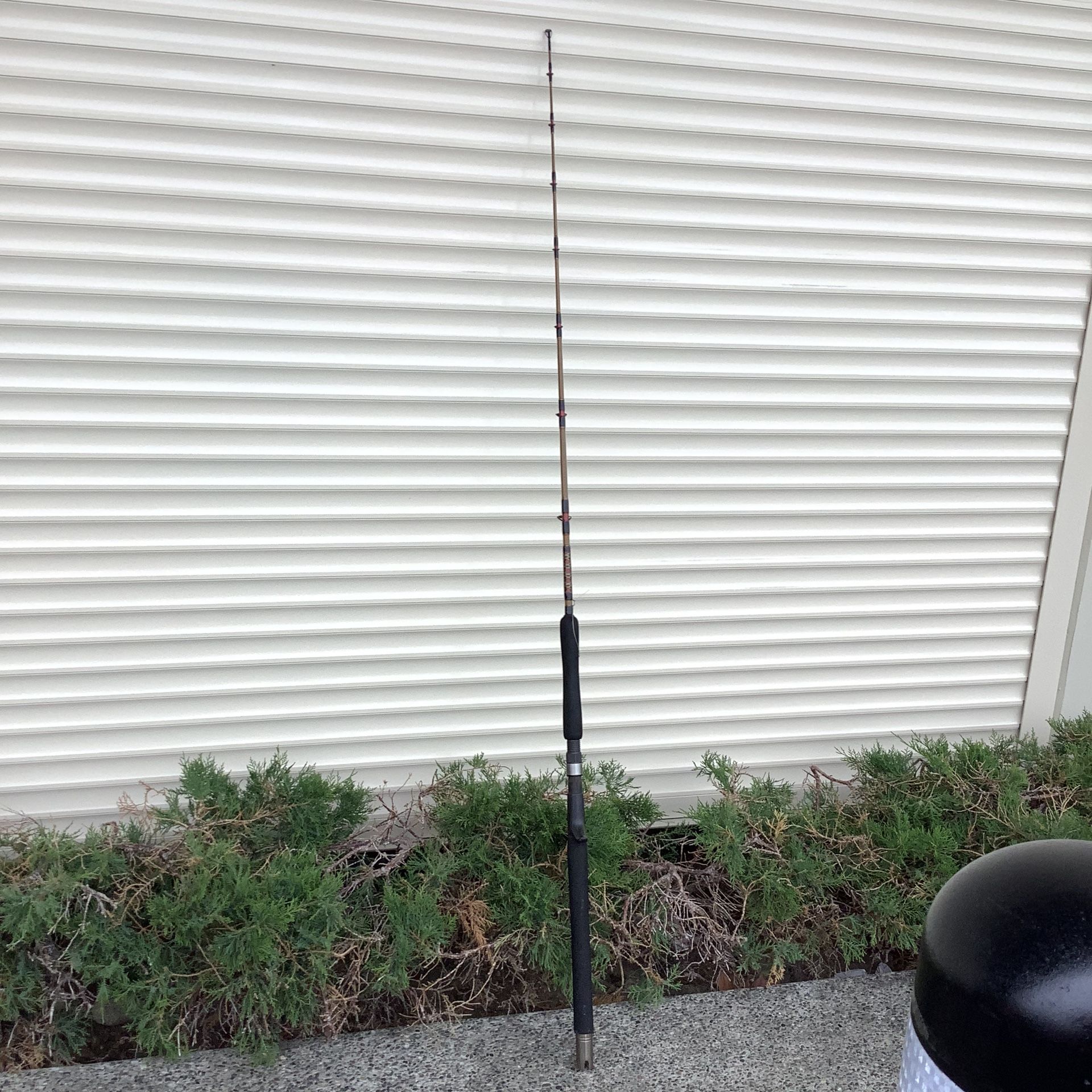 Shakespeare One Piece Tiger Lite Fishing Pole