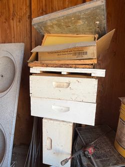 Bee box’s