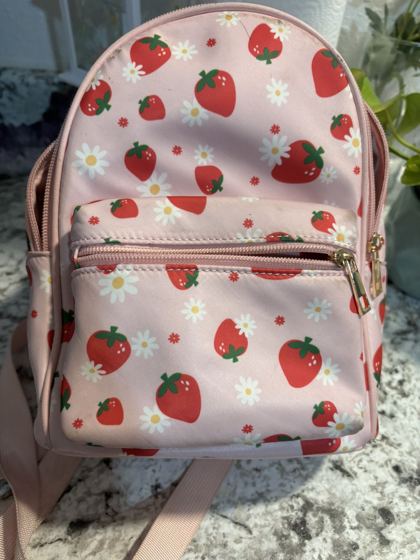 Small Strawberry  Pink Backpack 