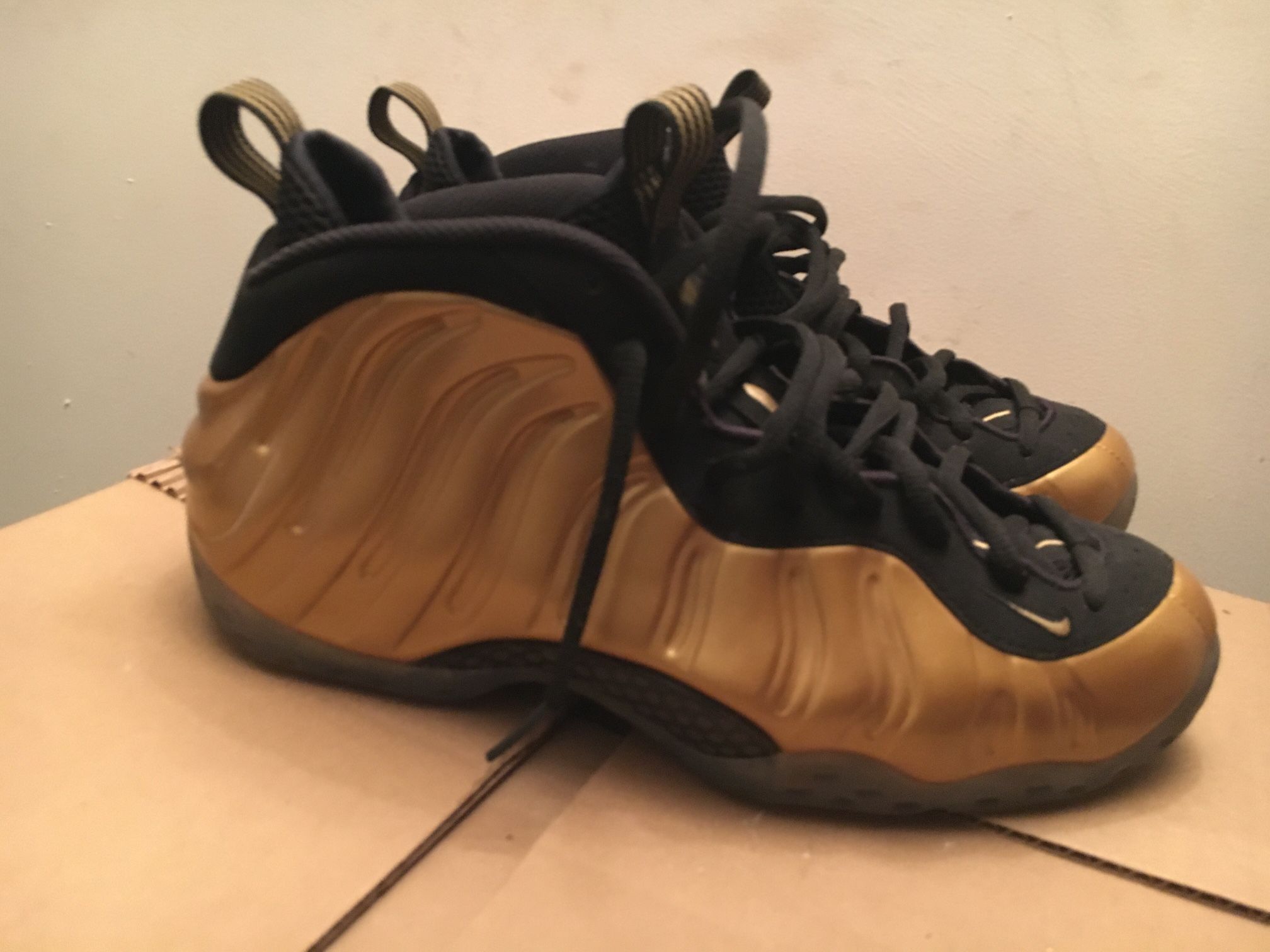 Foamposite Size 12