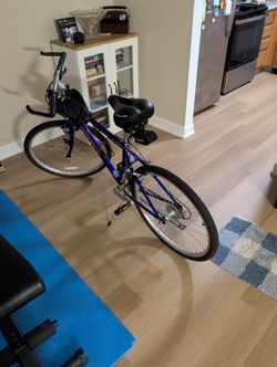 Adult Mountain Bike