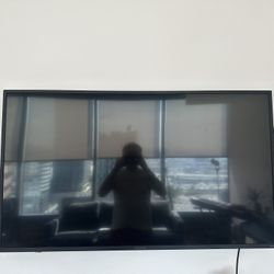 Insignia 50” Roku Smart TV – Excellent Condition