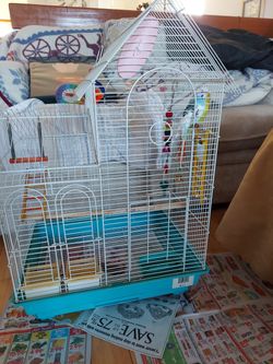 bird condo
