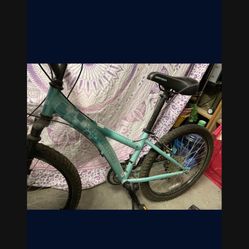 Girl’s Diamondback Mountain bike 24” 