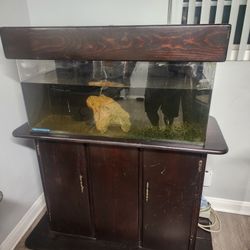 Aquasystem 75 Gallon Aquarium 