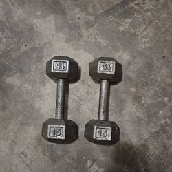 15 Lb Dumbbells 