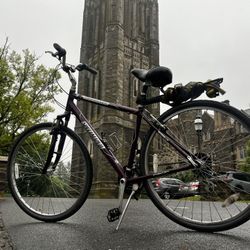 specialized bike hybrid 