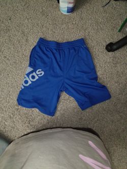 Grey And Blue Shorts