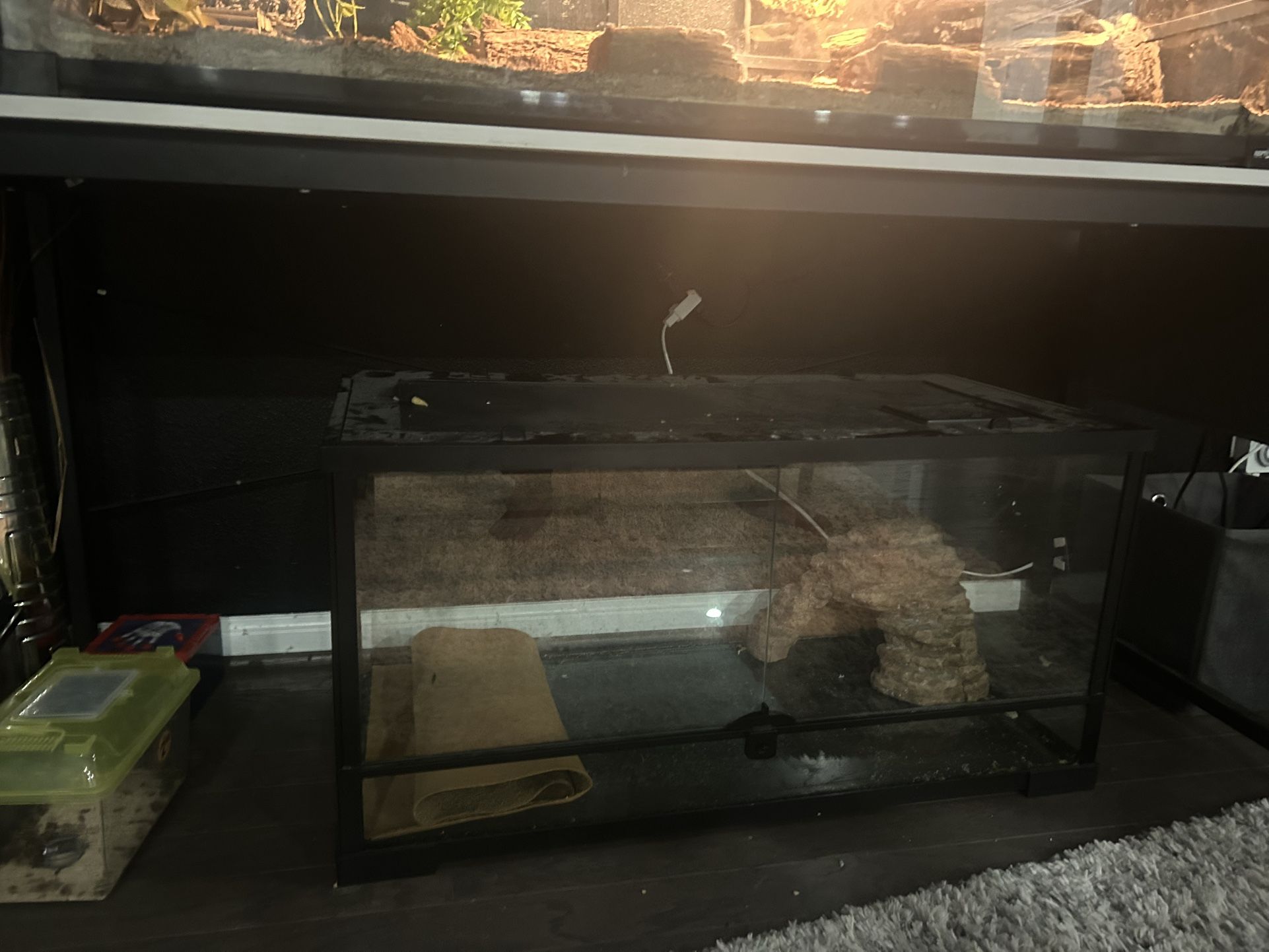 40 Gallon Reptile Tank