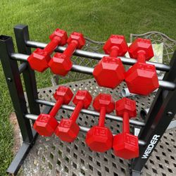Hex Steel Dumbbells With Rack 