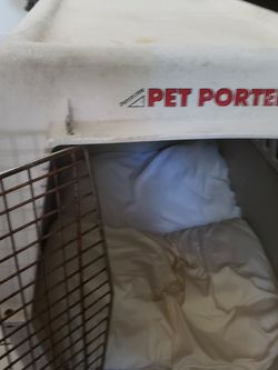 Clean & Ready For Your PET