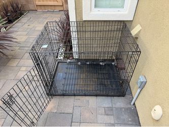 Large Kong Dog Crate
