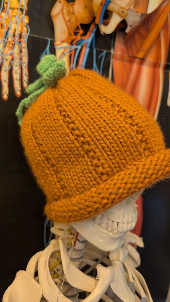 Chunky Knit Pumpkin Beanie
In excellent condition