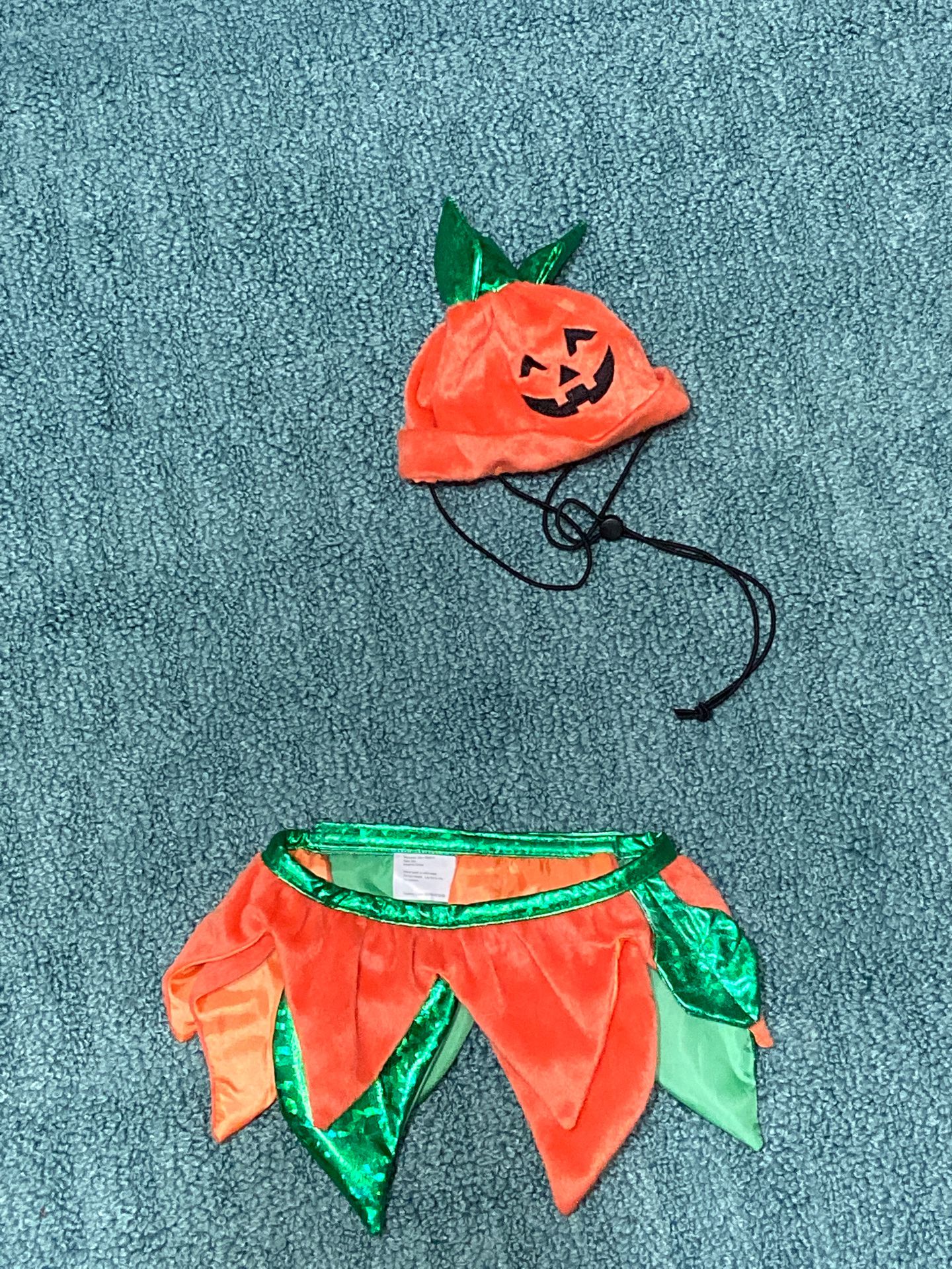 Pumpkin Pet costume