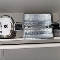 Gavita Grow Light
