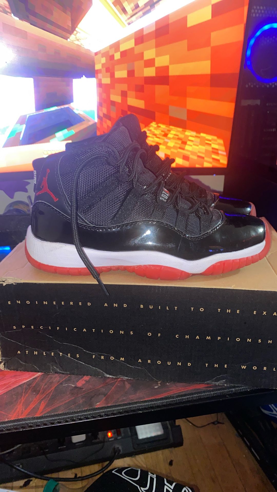 Jordan 11s Breds
