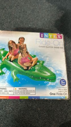 Swiimming. Gator ride