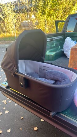 Bassinet and bedside sleeper