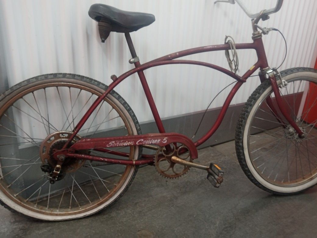 Schwinn Cruiser 5