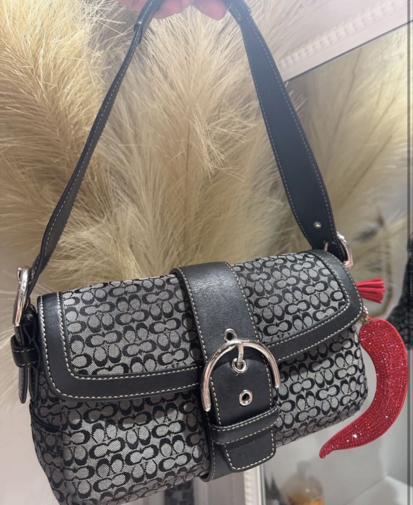 Coach vintage Purse