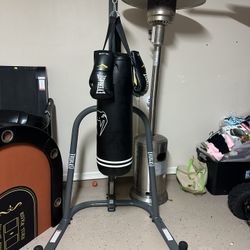 Punching Bag