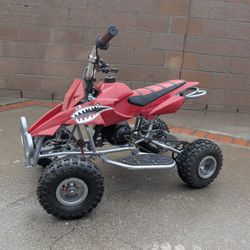 50cc Mini Quad