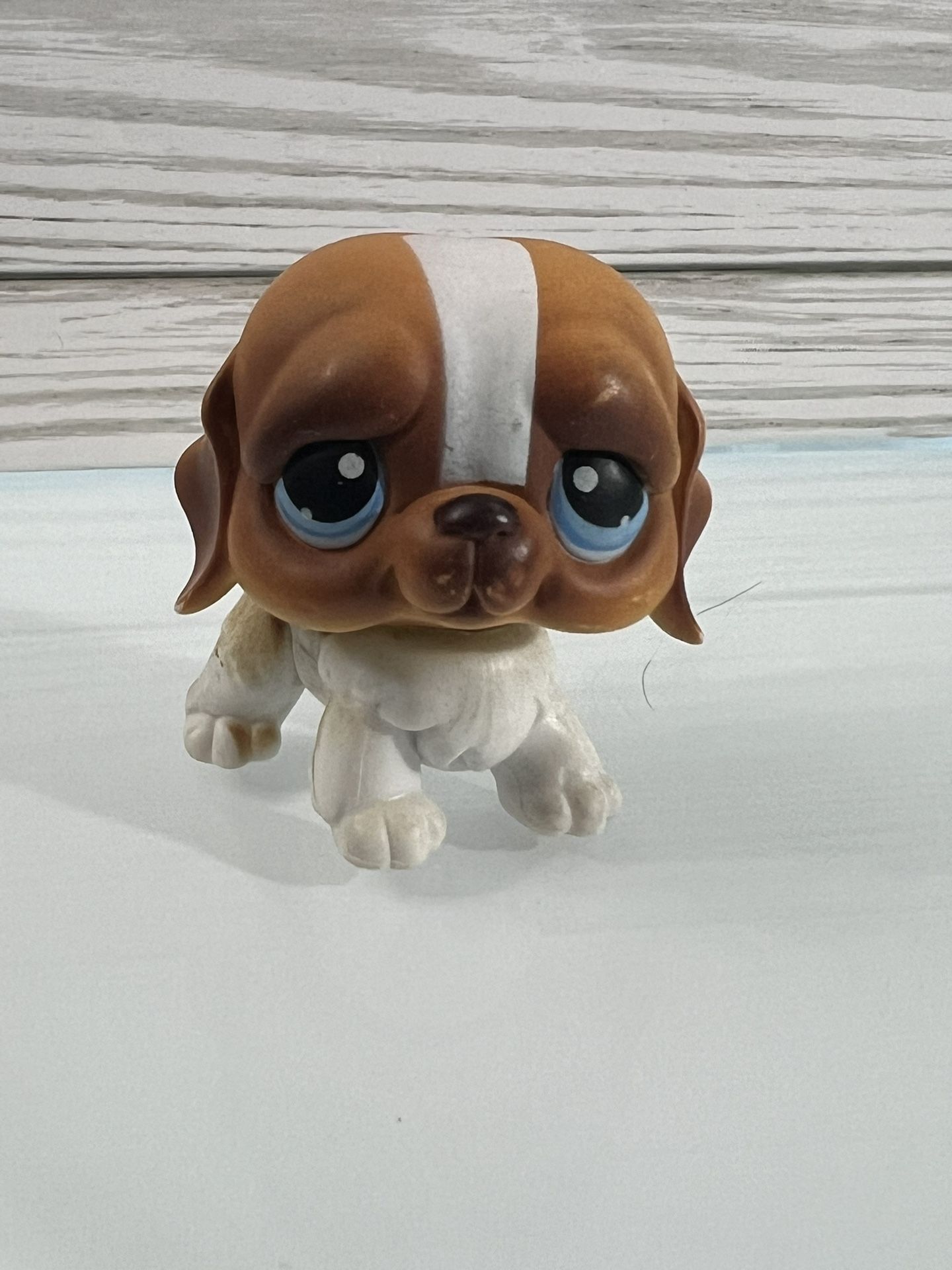 Littlest Pet Shop #76 Brown & White St. Bernard Dog Puppy - Blue Eyes 2004
