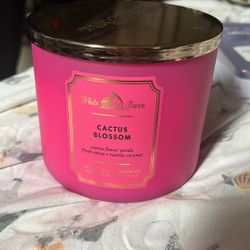 Cactus Blossom Candle 