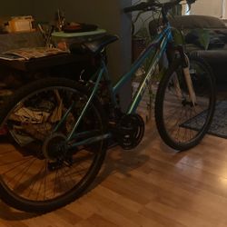 Huffy kids mountain bike 