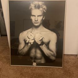 Sting Framed Black And White Picture 24x29