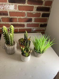 Faux Plants