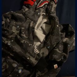 Bape Space Hoodie Camo