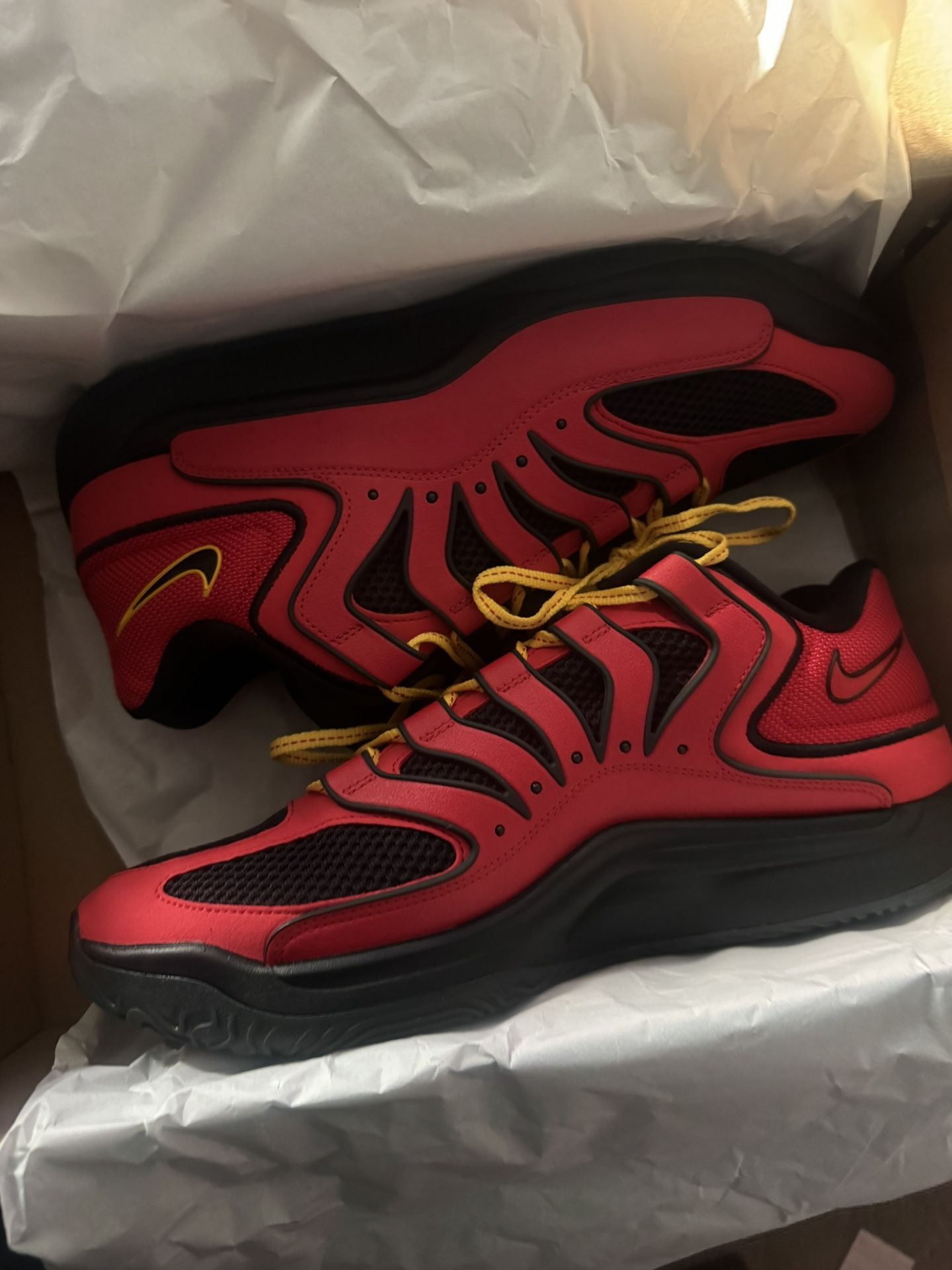 Kd’s