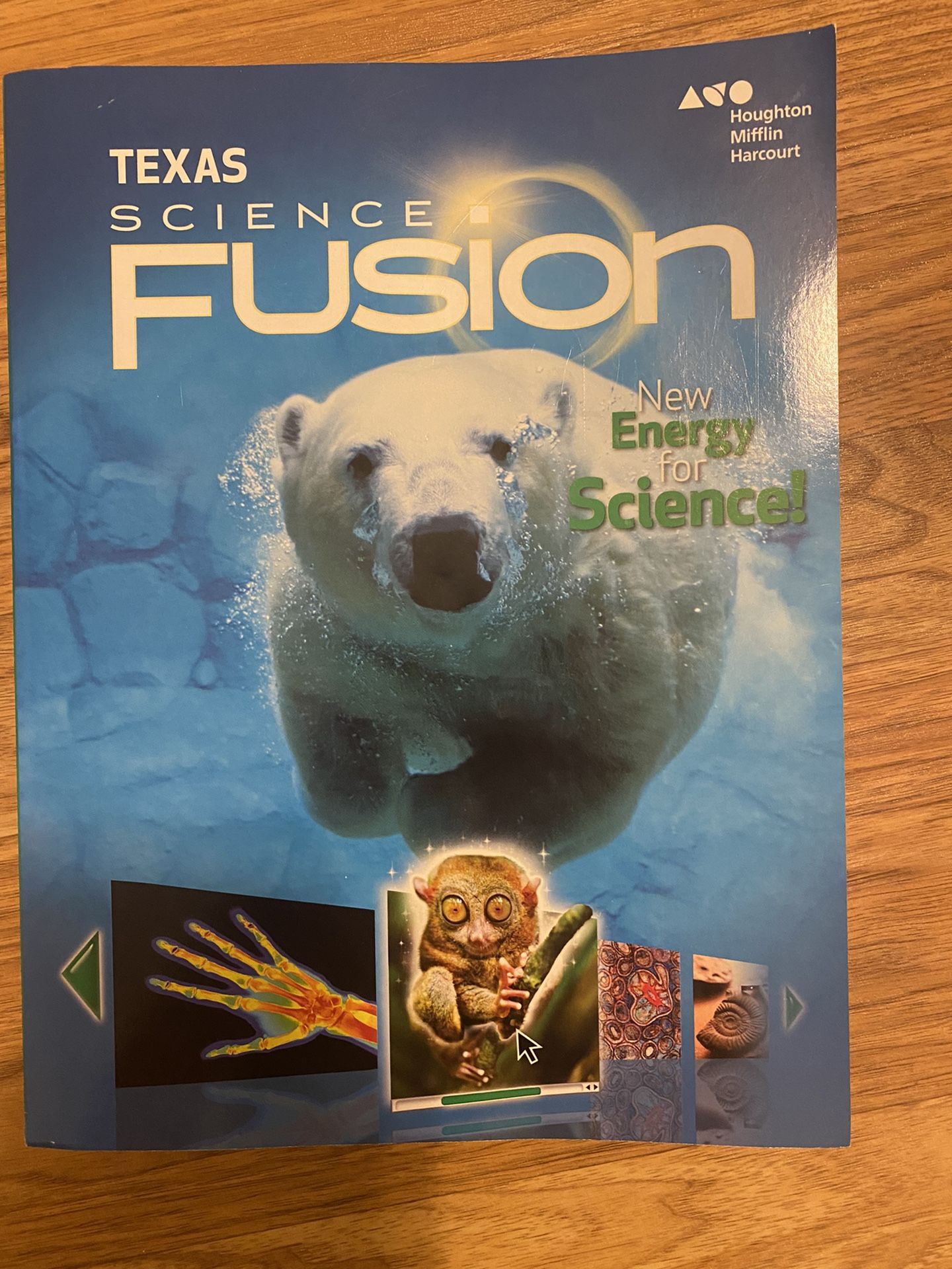 Texas Science Fusion 7th Grade
