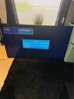 Large Flat Screen TV with HDMI/DVI