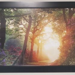 Garden path photograph w/ frame