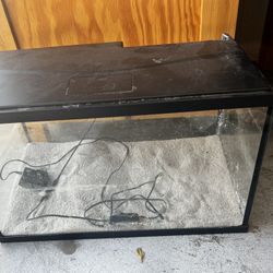 Fish Tank 10 Gallon