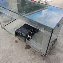 120 gallon aquarium