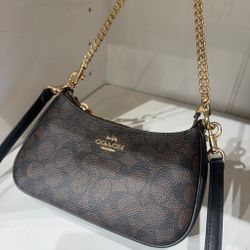 Coach Teri Mini Crossbody Bag in Signature cw323