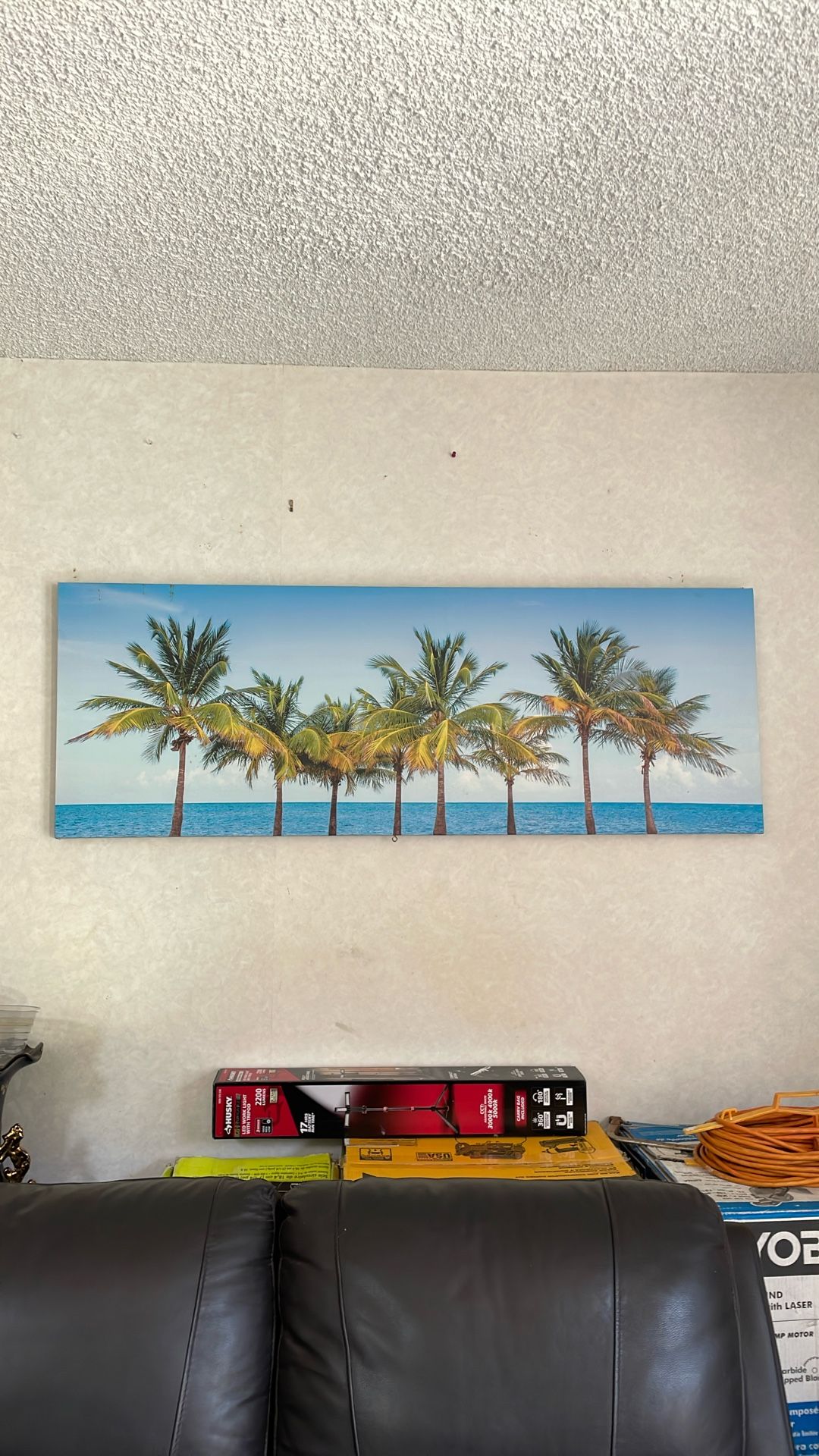 Coconut Tree