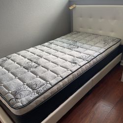 Twin Bed And Mattress