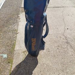 Wilson Golf Bag With Cougar Golf Set