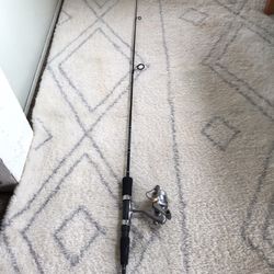 Aiwa Fishing Rod And Reel 