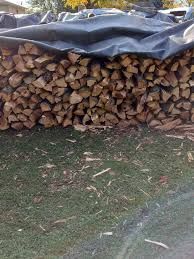 Firewood 