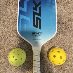 Pickleball Paddle