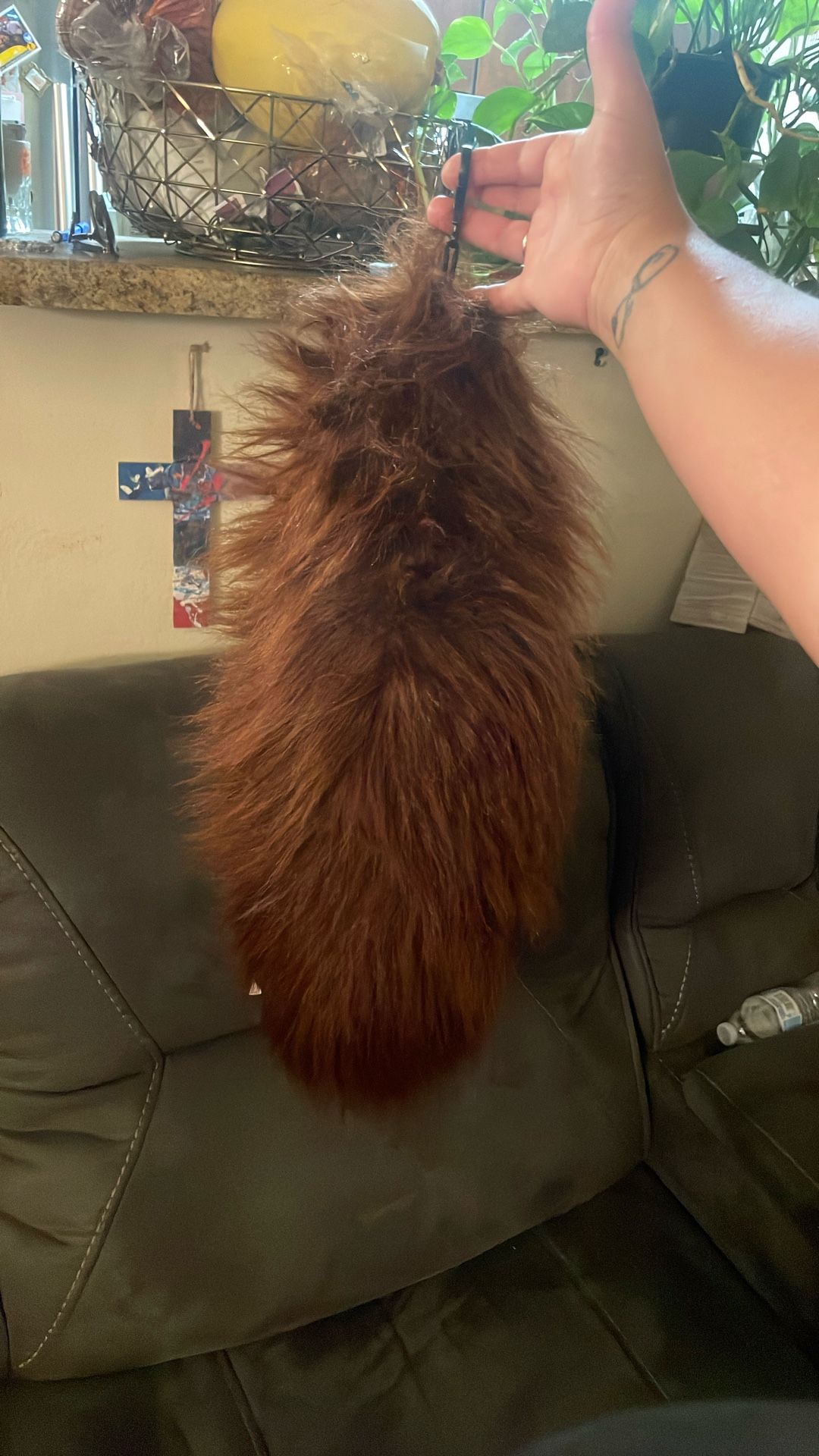 Huge fluffy furry tail about 2 feet long