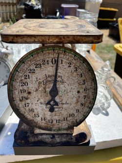 Kitchen Scale