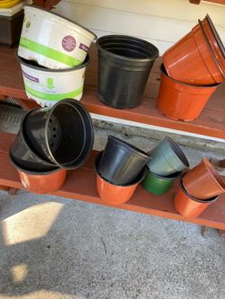 ALL 20- Winter/Spring Starter Plant Pots All Included For $5