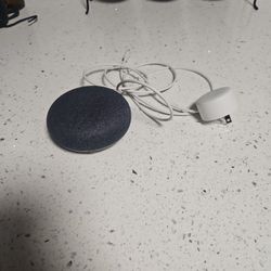 Google Home 